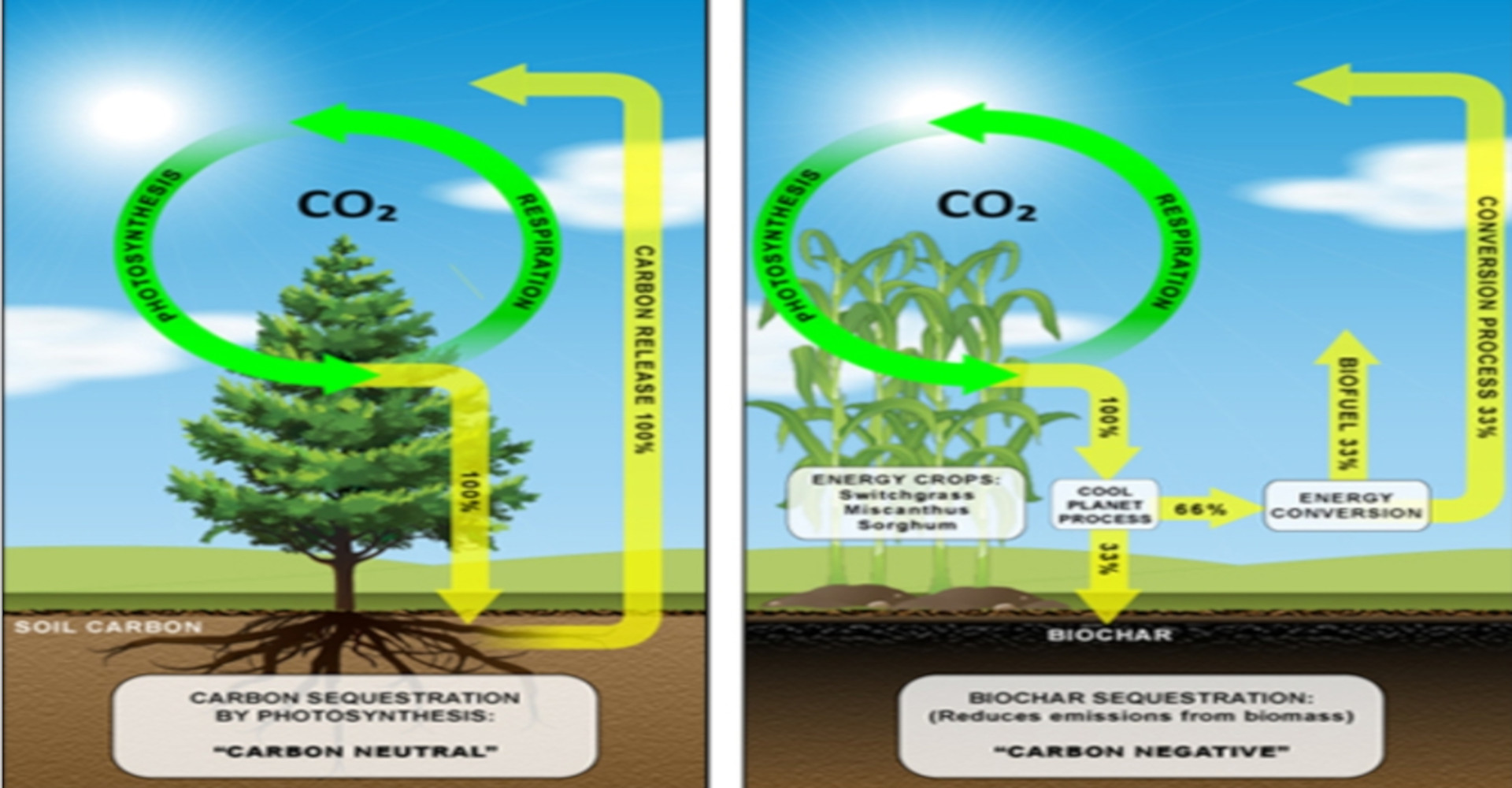 Carbon sequestration and biochar sequestration cycle