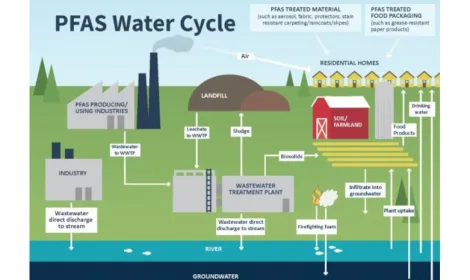 Picture of PFAS water cycle